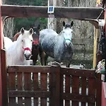 La Hacienda Del Campo Lägenhet