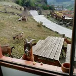 Lägenhet La Hacienda Del Campo *