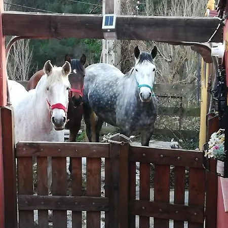 La Hacienda Del Campo Appartement