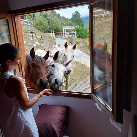 La Hacienda Del Campo *