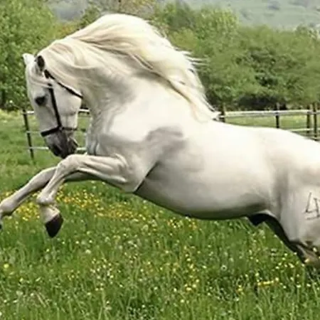 Appartement La Hacienda Del Campo Potes