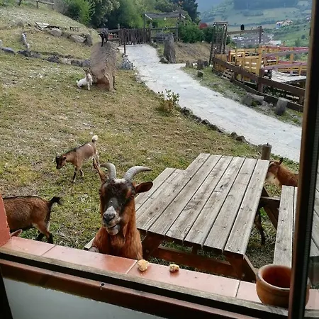 아파트 La Hacienda Del Campo *