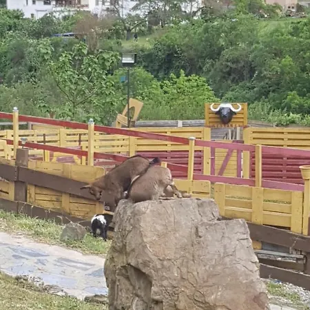 La Hacienda Del Campo *
