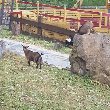 La Hacienda Del Campo Апартаменты *