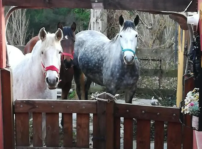 La Hacienda Del Campo Apartament