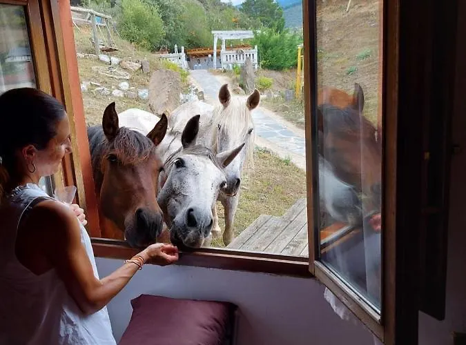 La Hacienda Del Campo *