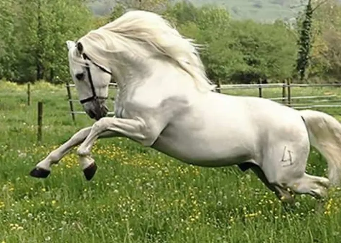 Apartament La Hacienda Del Campo Potes