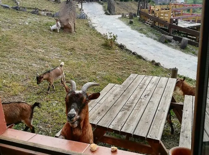 Apartament La Hacienda Del Campo *