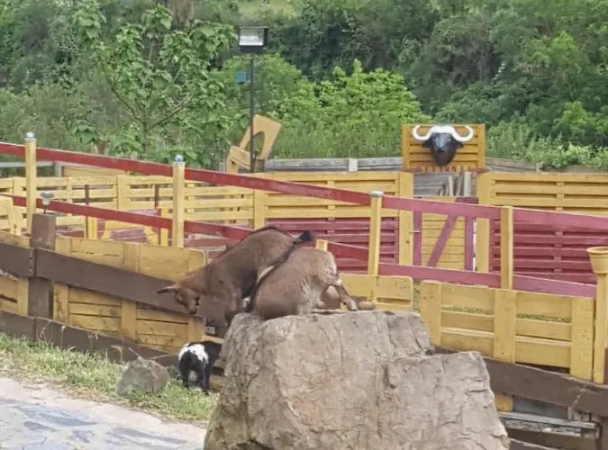 La Hacienda Del Campo *